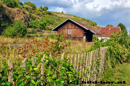 Hochzeitsfoto (c) Hofstädter