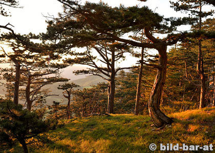 Landschaft (c)Hofstädter