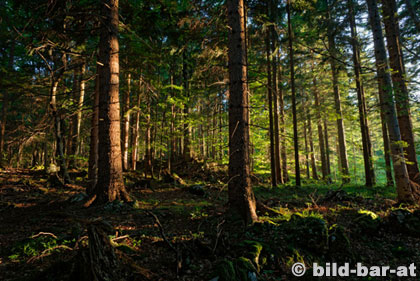 Landschaft (c)Hofstädter