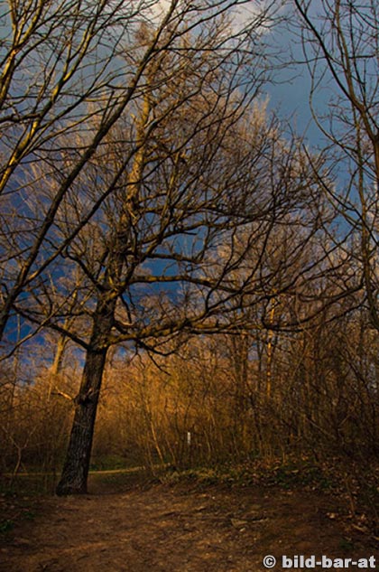 Landschaft (c)Hofstädter